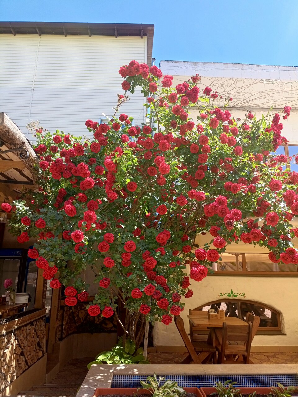 Гостиница Невский Дивноморское-95