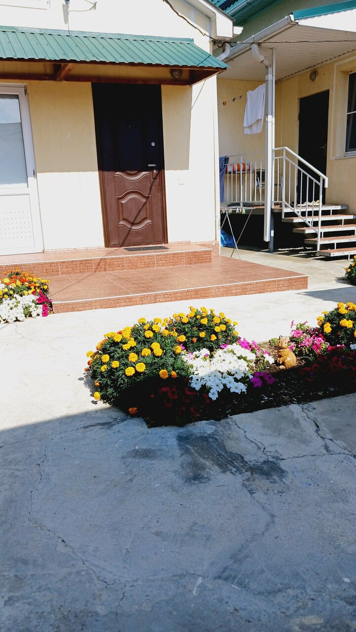 Гостиница Невский Дивноморское-99