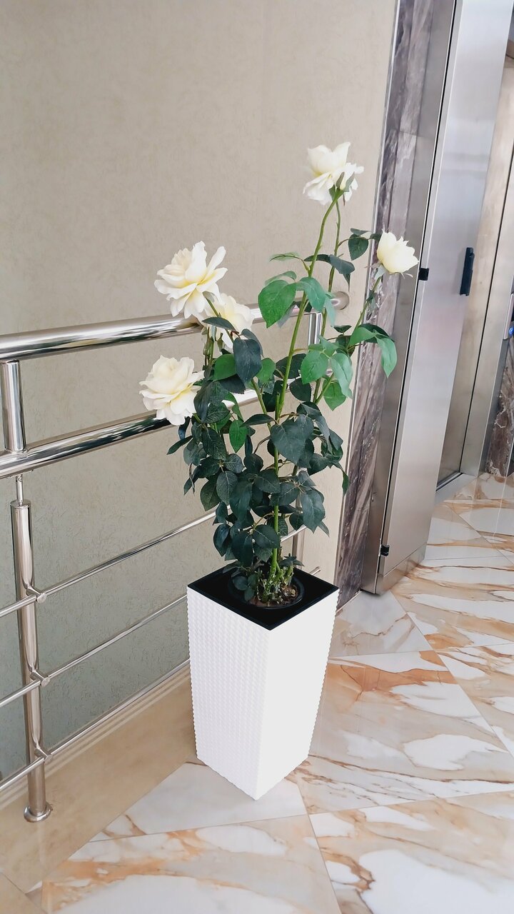 Гостиница Невский Дивноморское-192