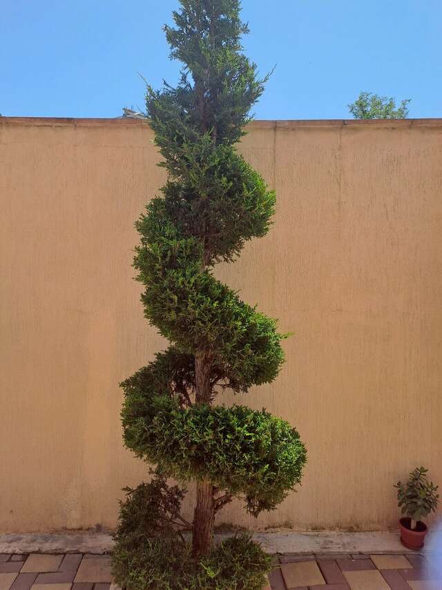 Гостиница Невский Дивноморское-82