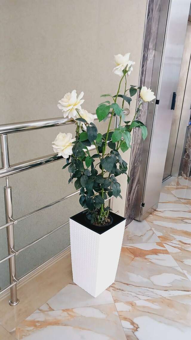 Гостиница Невский Дивноморское-191